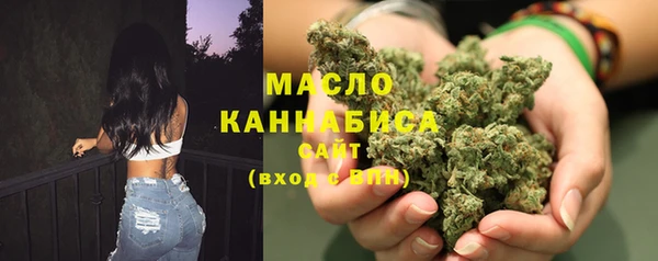мет Новозыбков