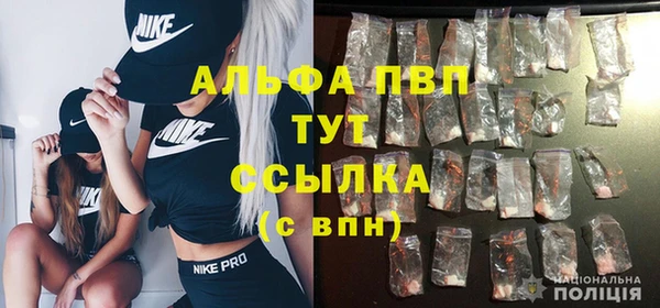 apvp Новодвинск