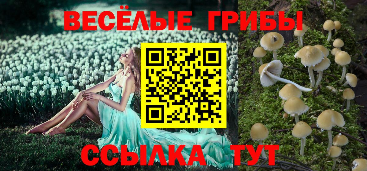 Галлюциногенные грибы Psilocybine cubensis Пермь
